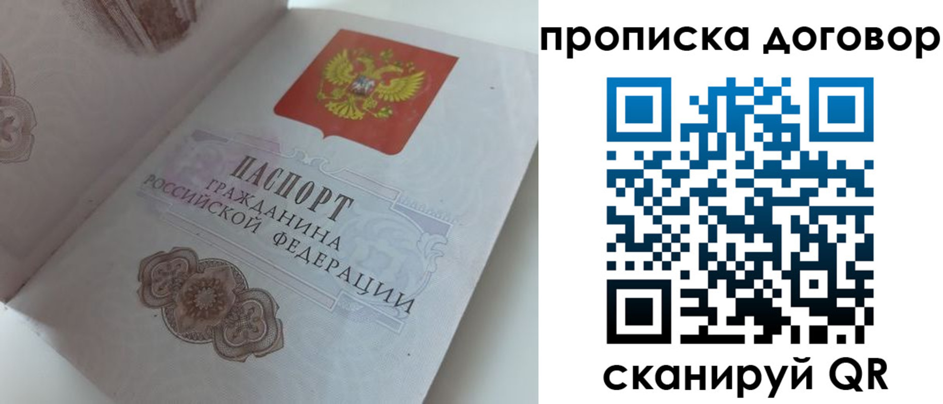 прописка поиск в Ступино